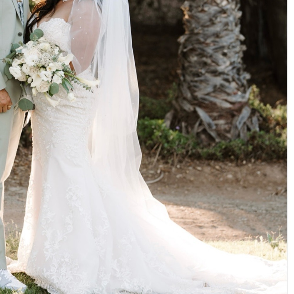 Elegant champagne Lace Wedding Dress